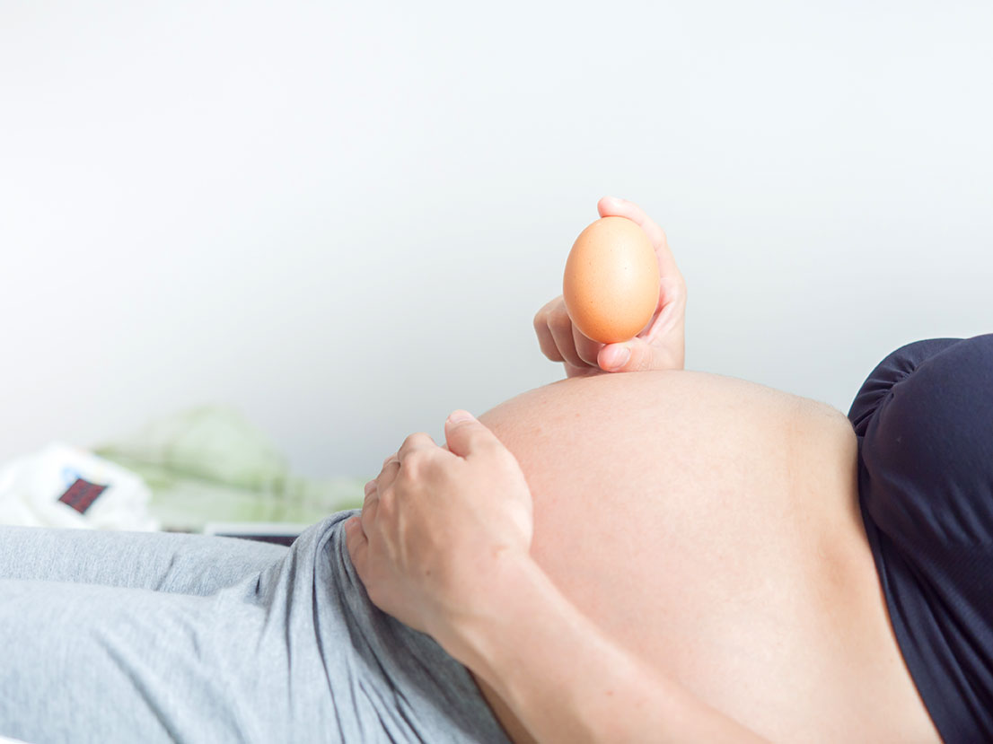 Rol del huevo durante el embarazo para el desarrollo cerebral del feto.